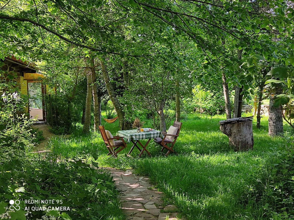 Centro Jardin Mandala Guest House Valberzoso Eksteriør bilde